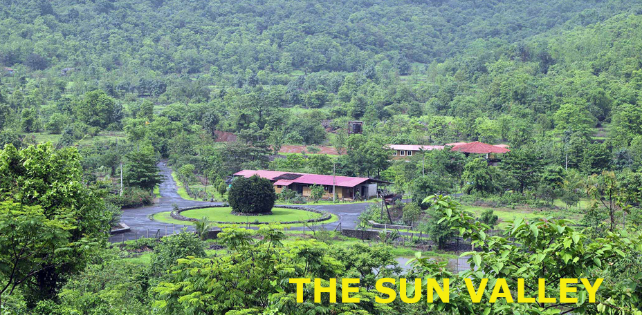Gallery-Banner
