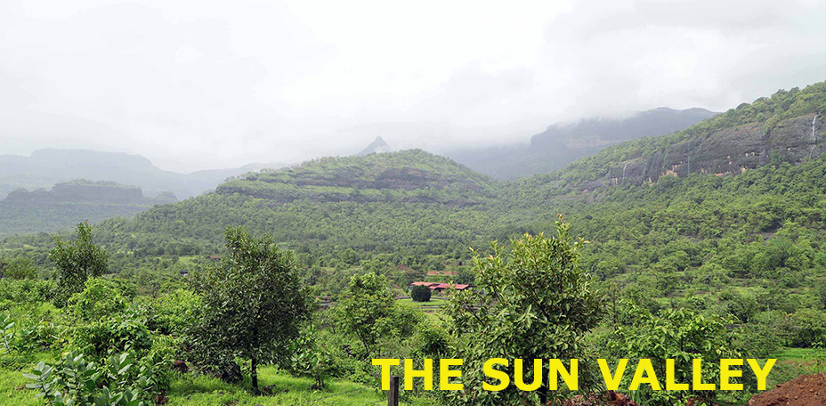 Gallery-Banner