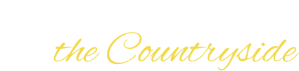 banner-text